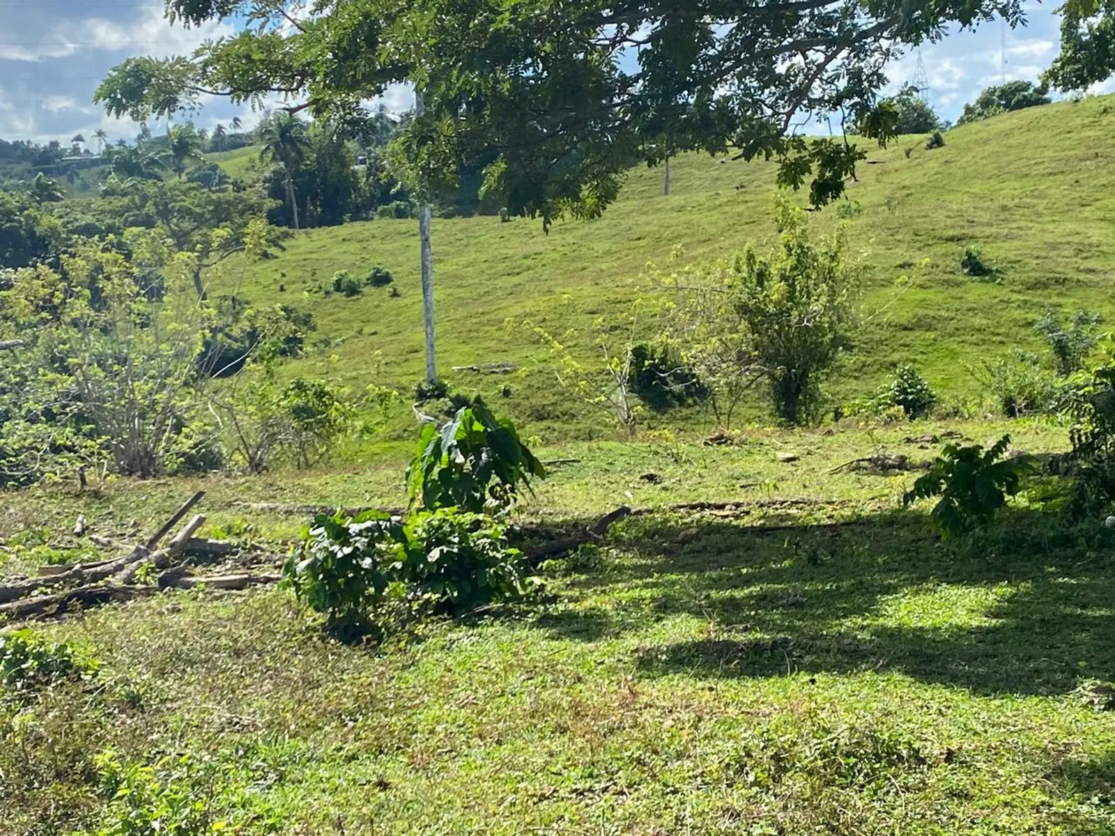 Terrain de 6 287 m² à Urb. Aurora | Rio San Juan, photo 7