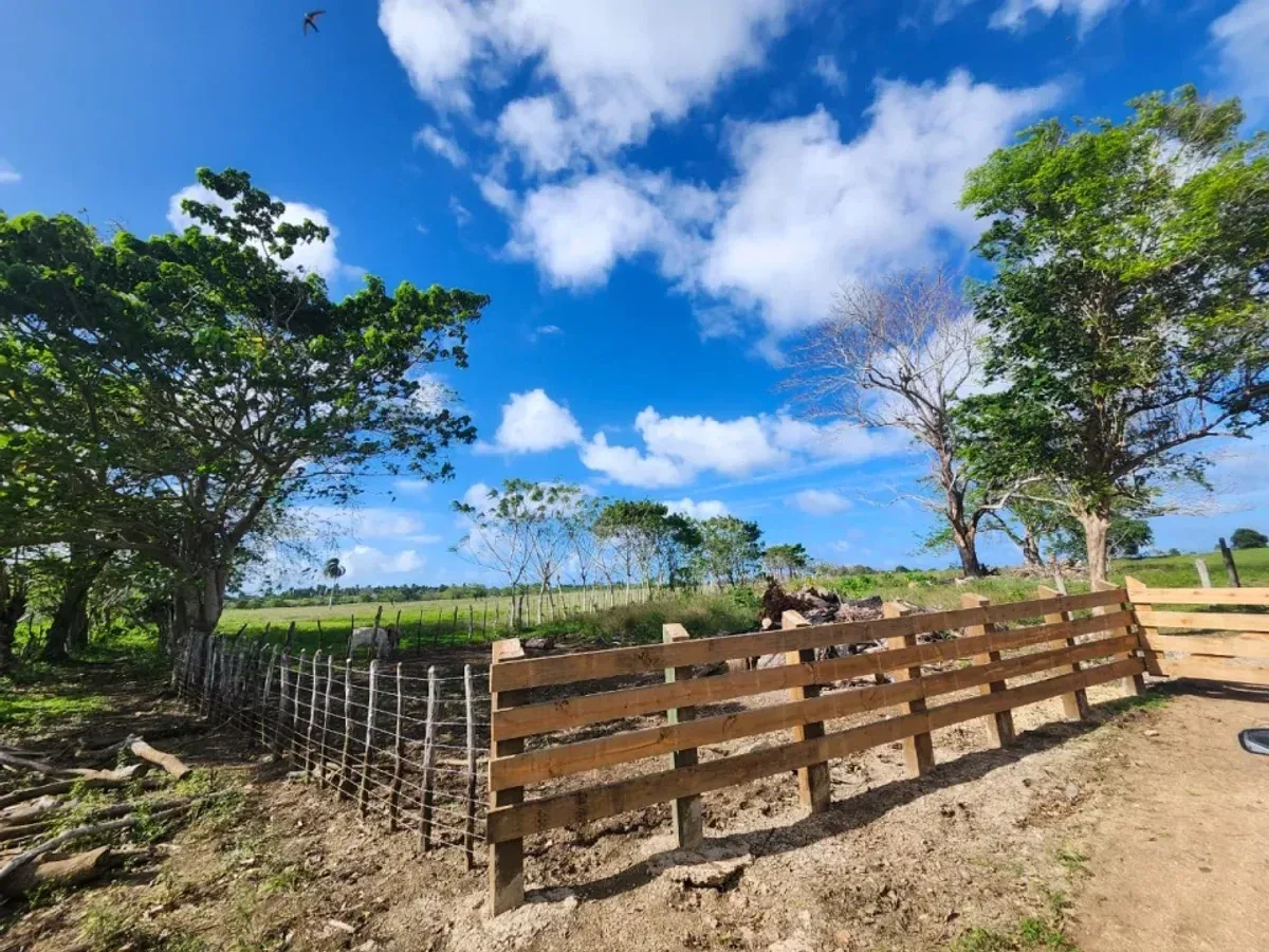 Terreno in Vendita a El Macao, 11,319 m², foto 3