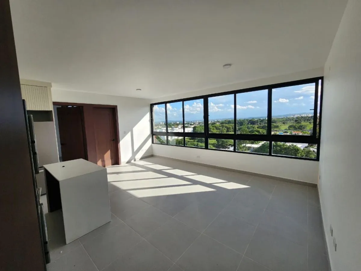 3001449198, photo 7