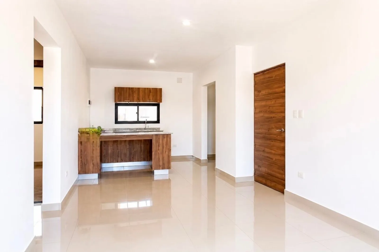 APARTMENT FOR SALE 2 BEDROOMS PUNTA CANA, photo 2