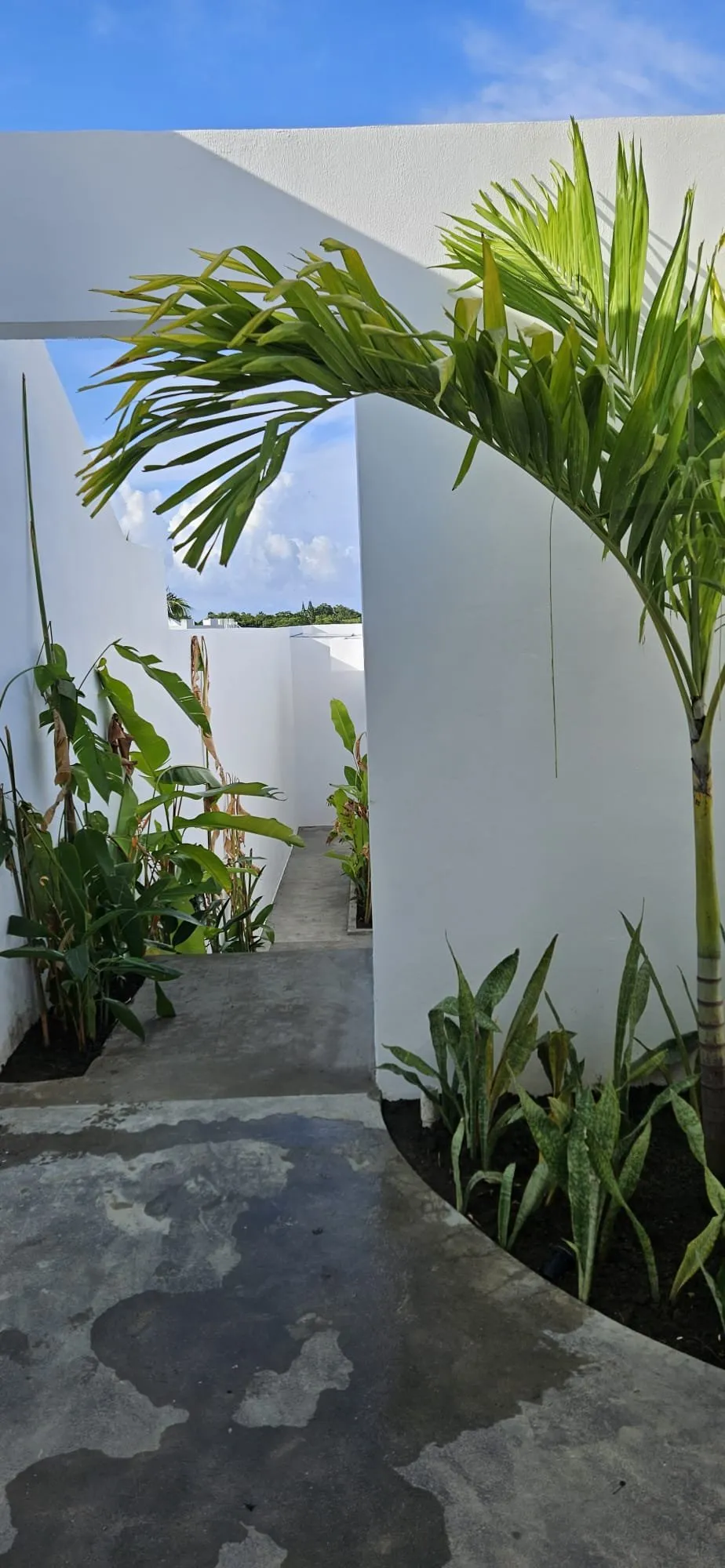 La tua opportunità di vivere o investire in una villa di lusso a Sosúa., foto 3