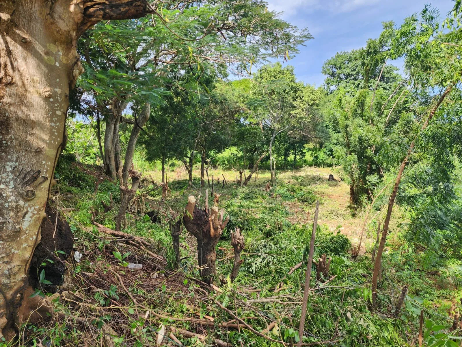 Corazón de Sosúa: Terreno en Venta en el Centro, foto principal