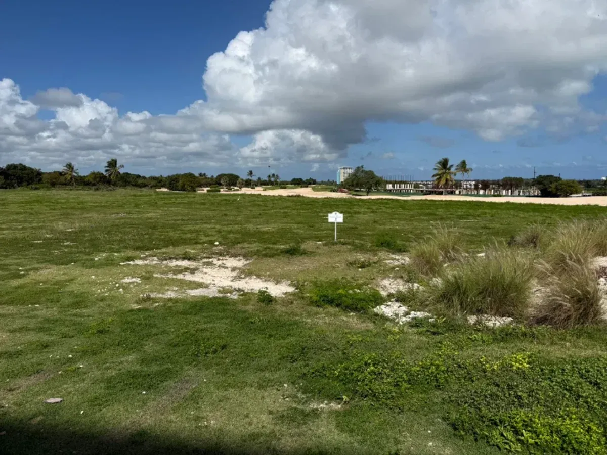 Grundstück zu verkaufen in Cap Cana, Foto 2