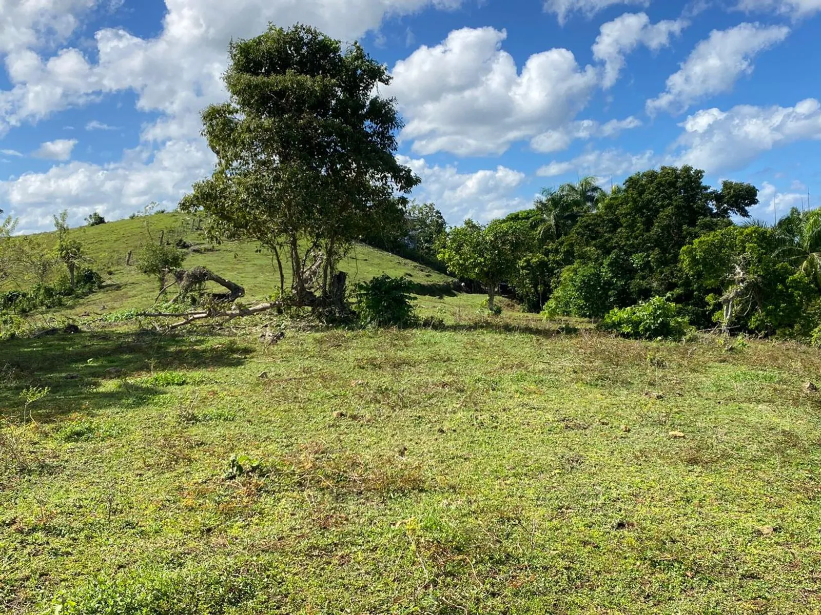 Terrain de 6 287 m² à Urb. Aurora | Rio San Juan, photo 14