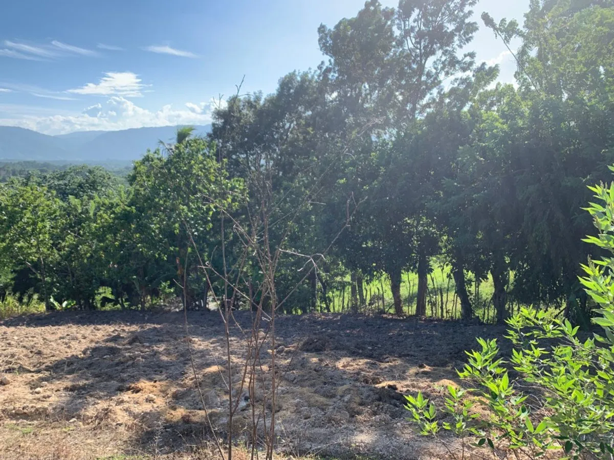 Terreno in vendita a Buena Vista,, foto 7