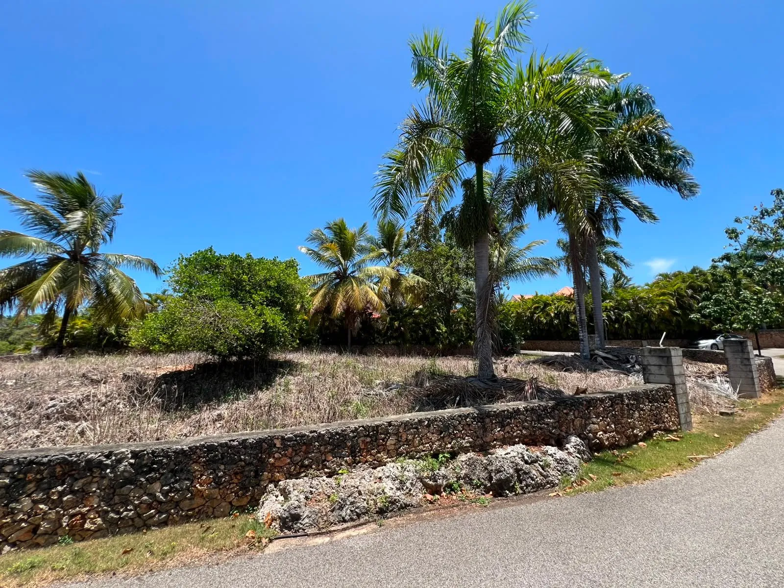 Land for sale Lomas Mironas, photo 4