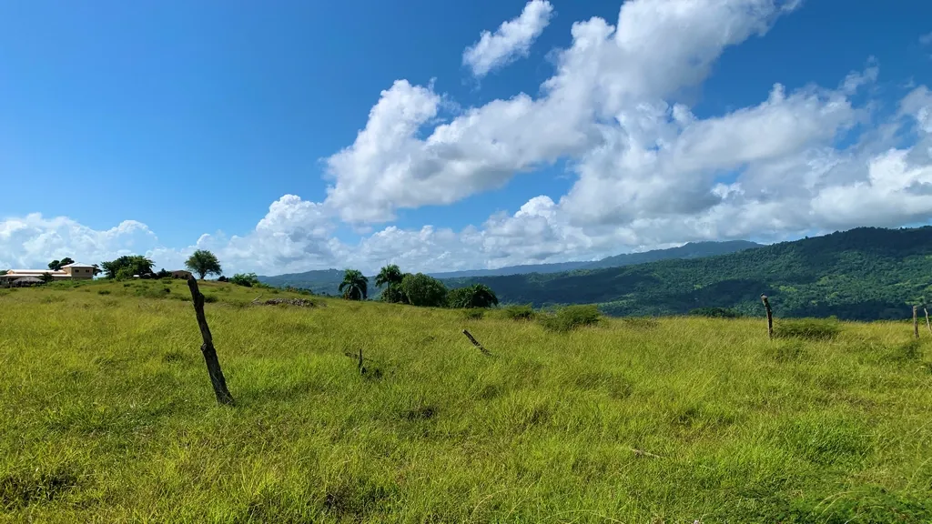 Terreni a El Cupey Puerto Plata, foto 6