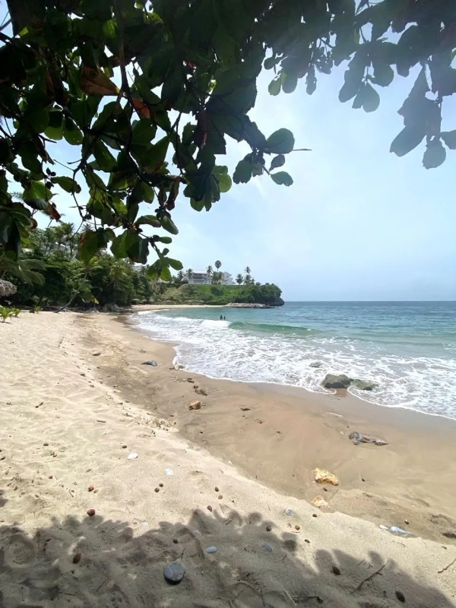 Grundstück in Samaná, Los Cacaos, Foto 4