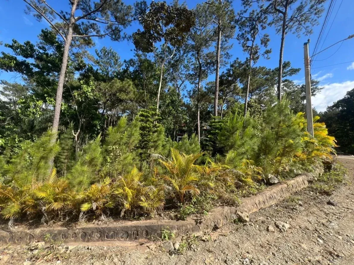 Terreno a Alterra Village, Jarabacoa, foto 4