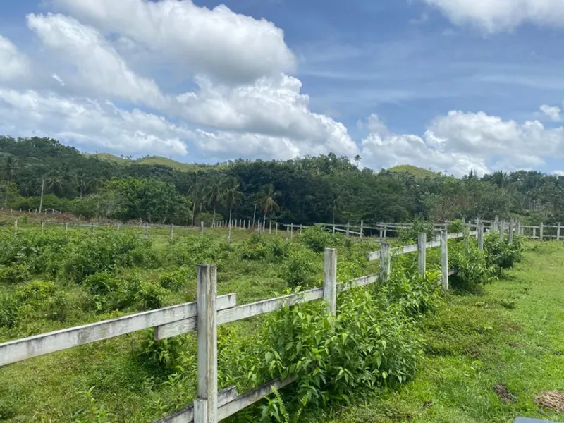 Grundstück in Samaná Las Terrenas, Los Puentes, USD$ 1,337,000