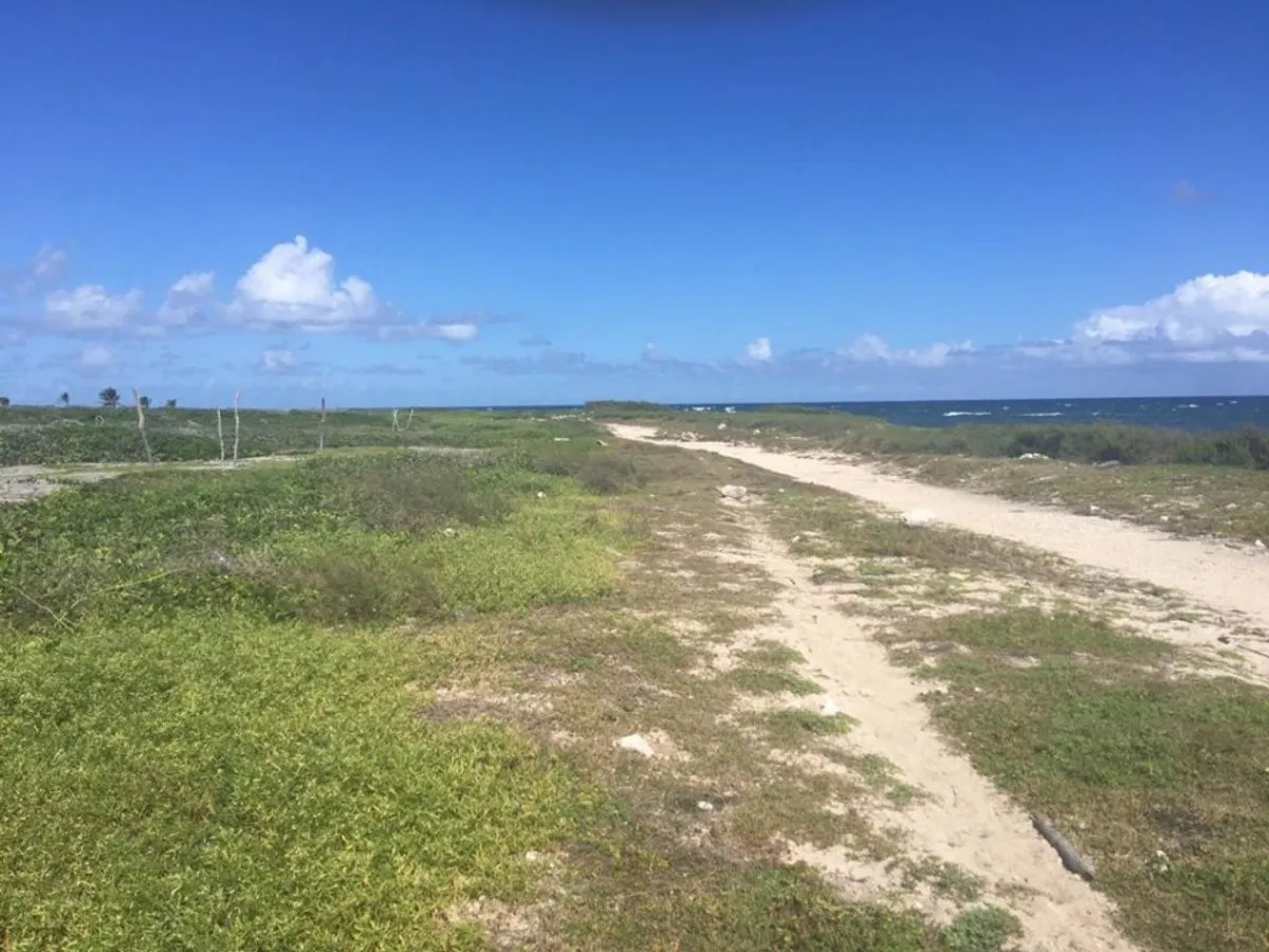 Terrain à Punta Cana, Higüey, photo 4