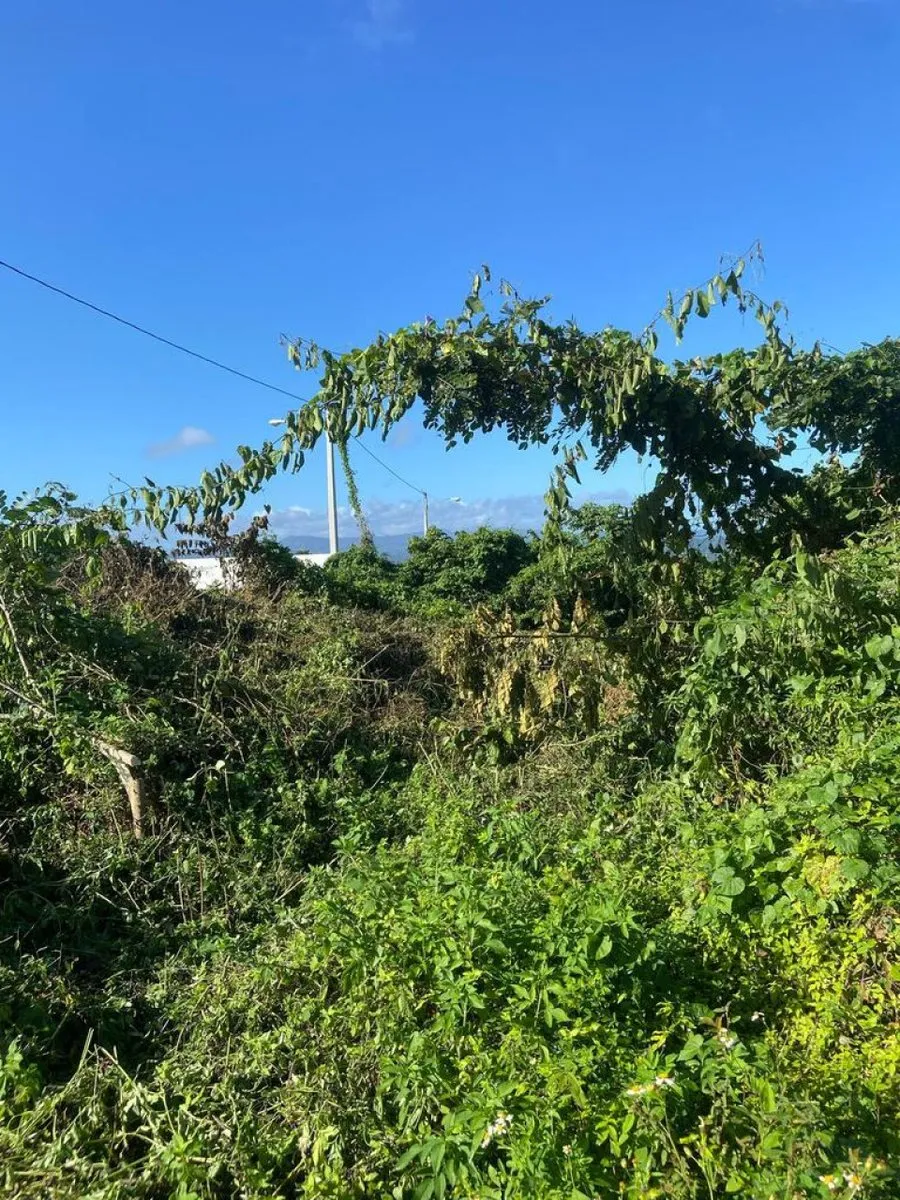 Land for Sale in Río San Juan, Santa Lucía, photo 2