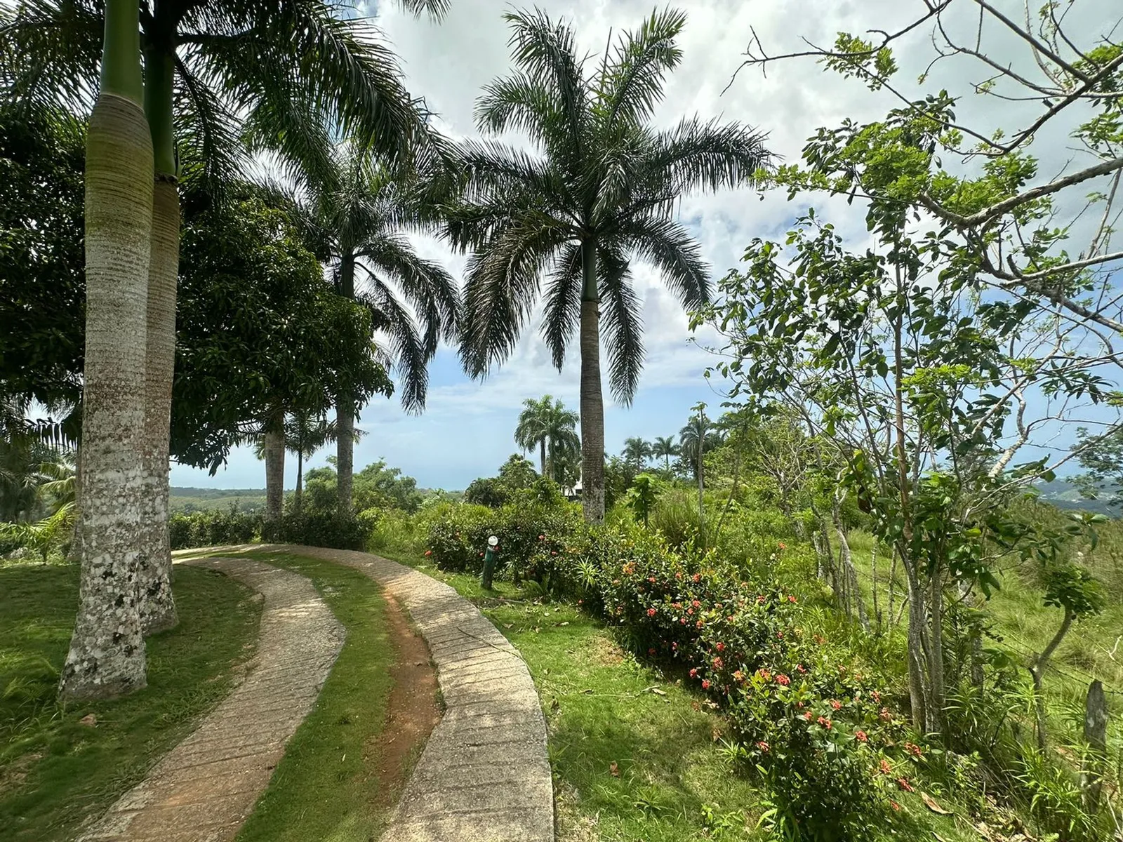 Terrain à Los Puentes, Las Terrenas Samana, photo principale