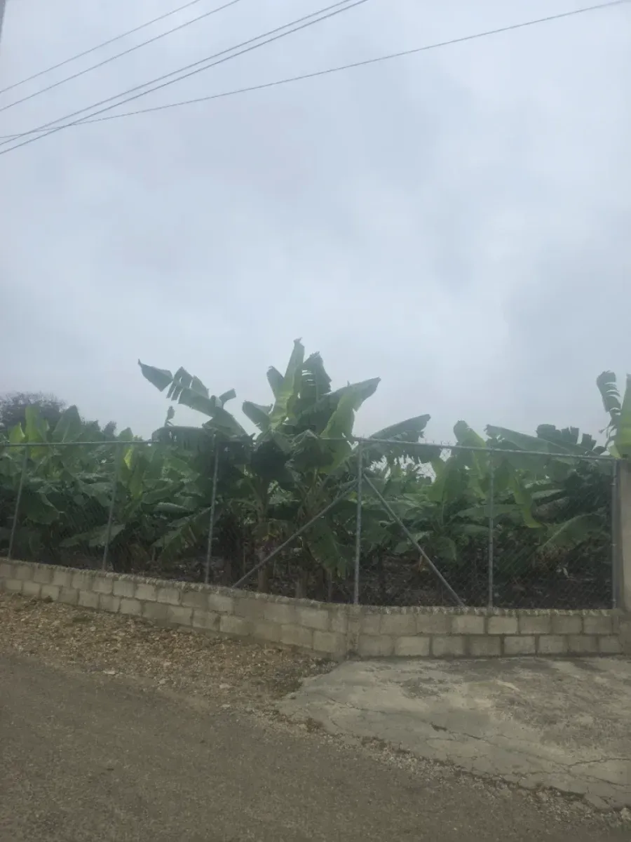 Grundstück zum Verkauf in Licey al Medio, Hauptfoto