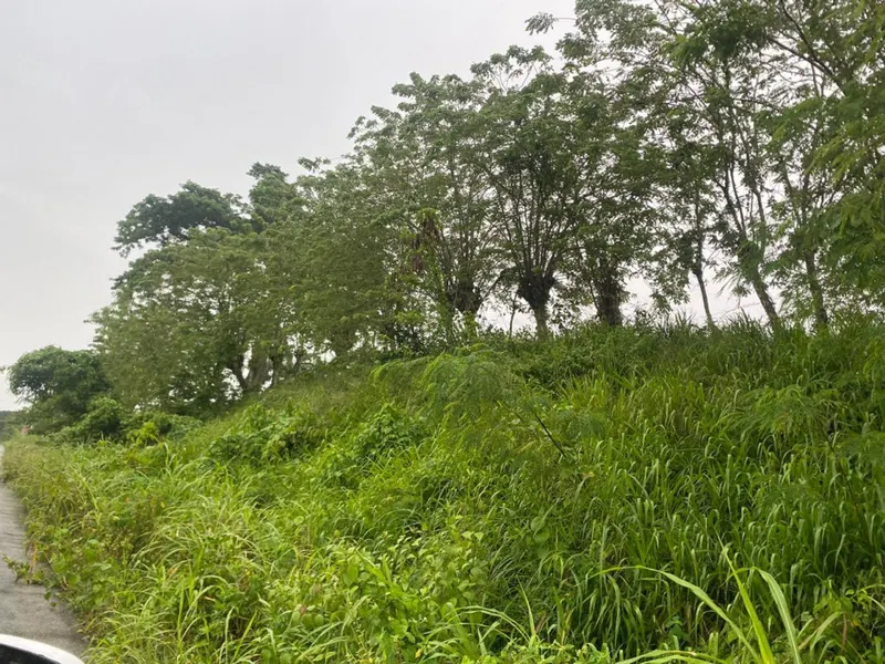 Land in Gaspar Hernández, La Cantera, USD$ 540,800