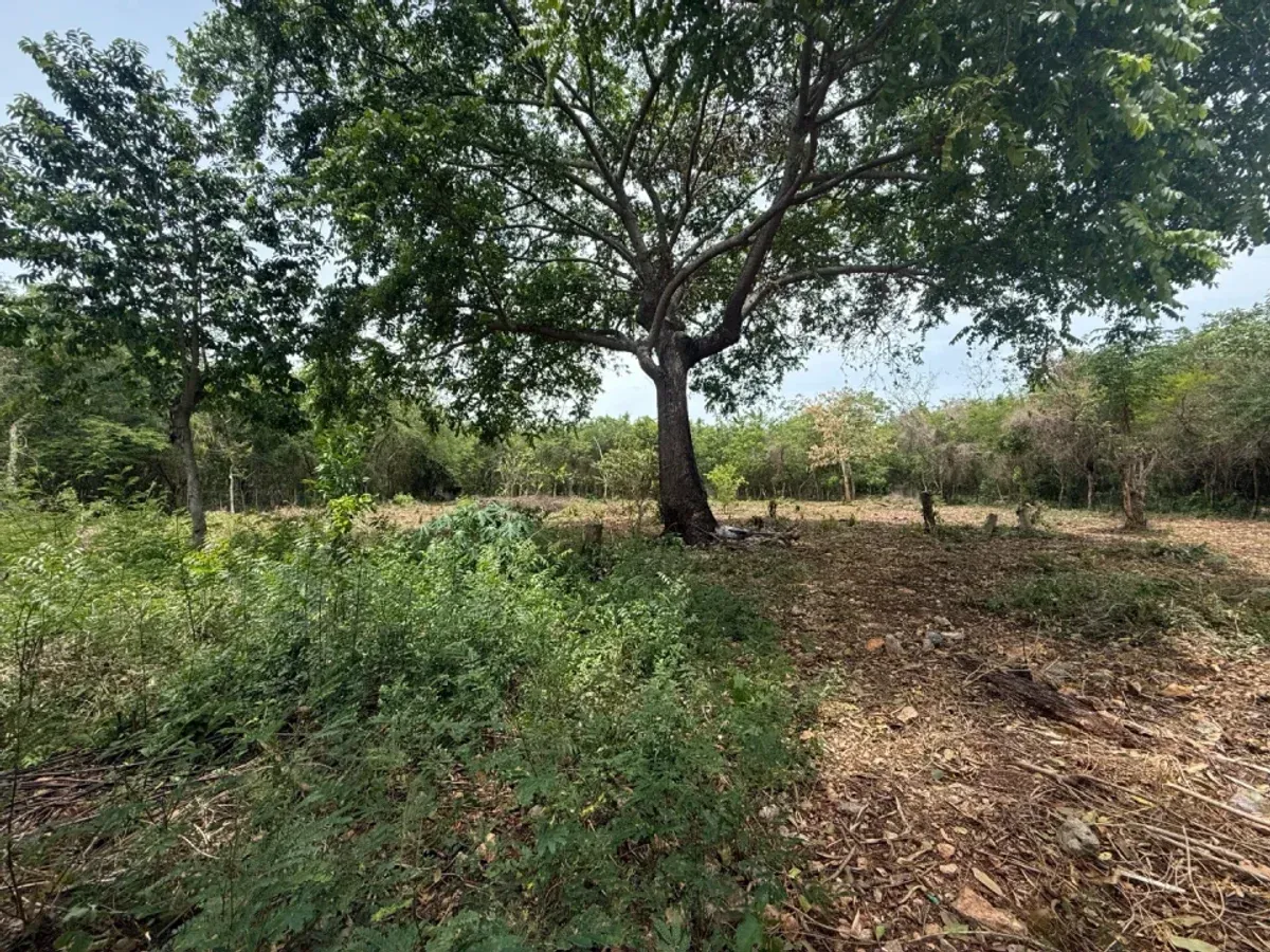 Terreno amplio en venta en Juan Dolio, foto 6