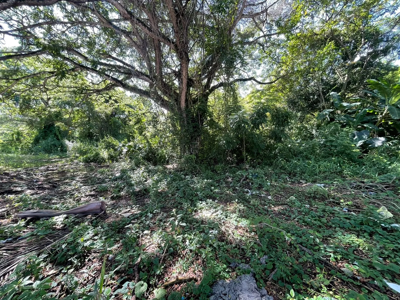 Terreno in Vendita a Perla Marina tra Sosúa e Cabarete, foto principale