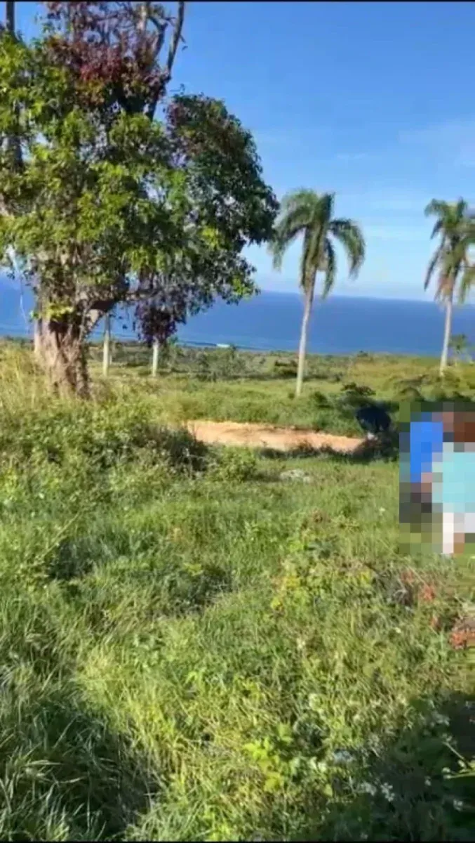 Land in Cabrera, Abreu Sector, photo 3