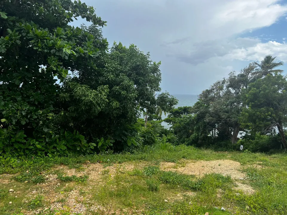 Projekt in PUNTA BALANDRA, Foto 7