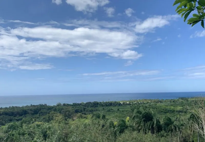 Land in La Ermita, Gaspar Hernández, USD$ 102,815