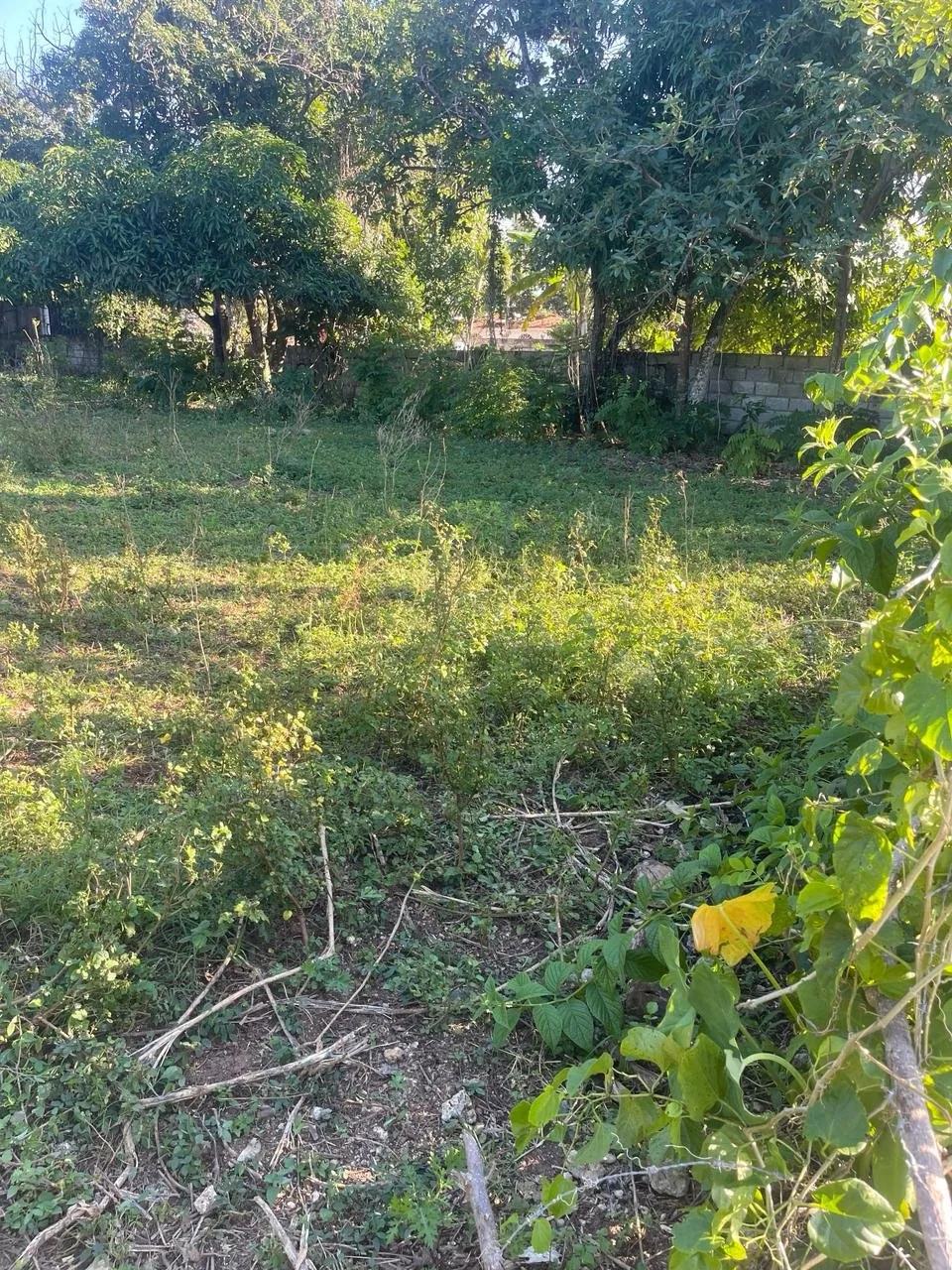 Hermoso terreno en Sosua – Carretera el choco, foto 2