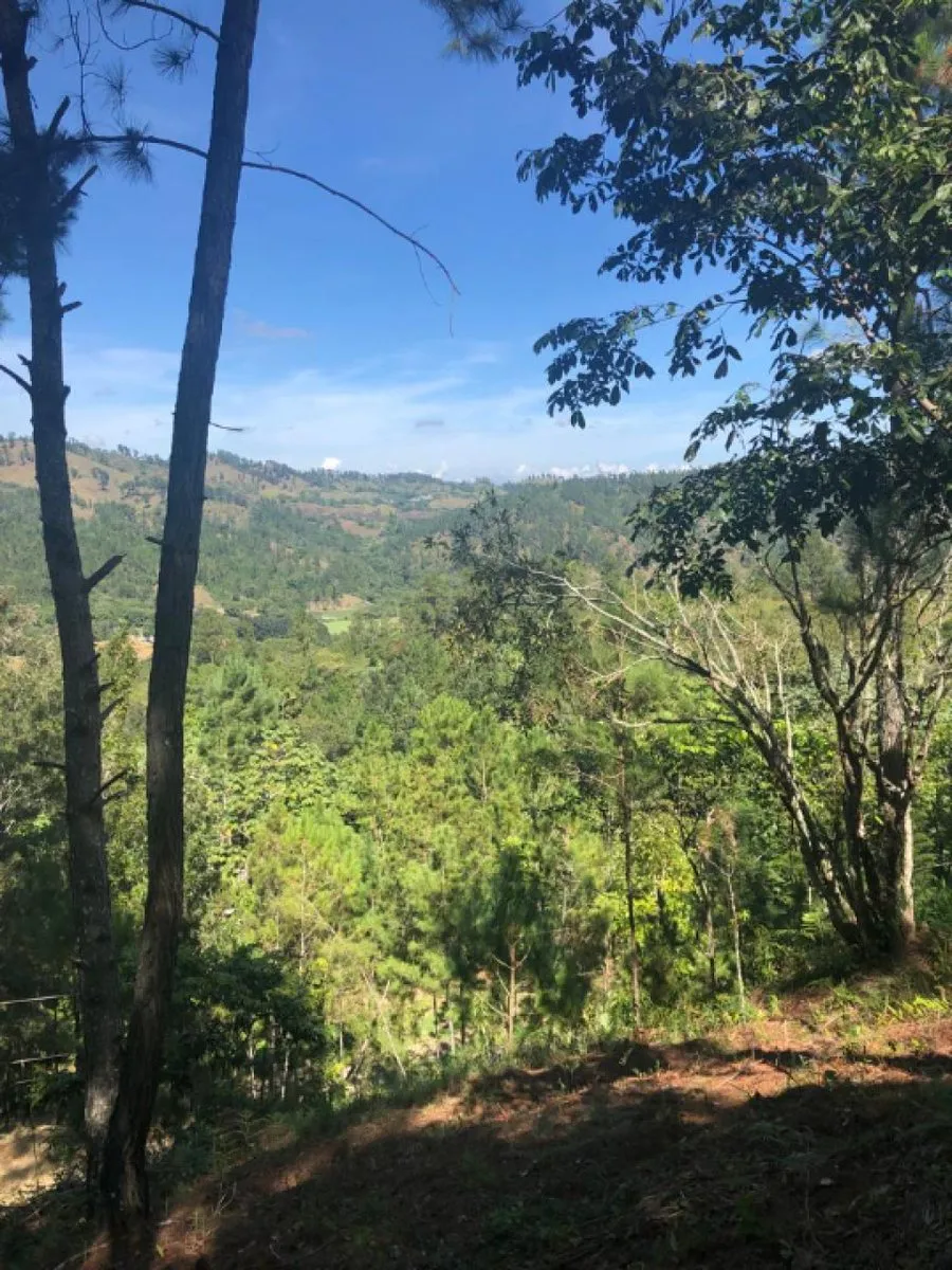 Venta de Solar en Quintas del Bosque Jarabacoa, foto 2