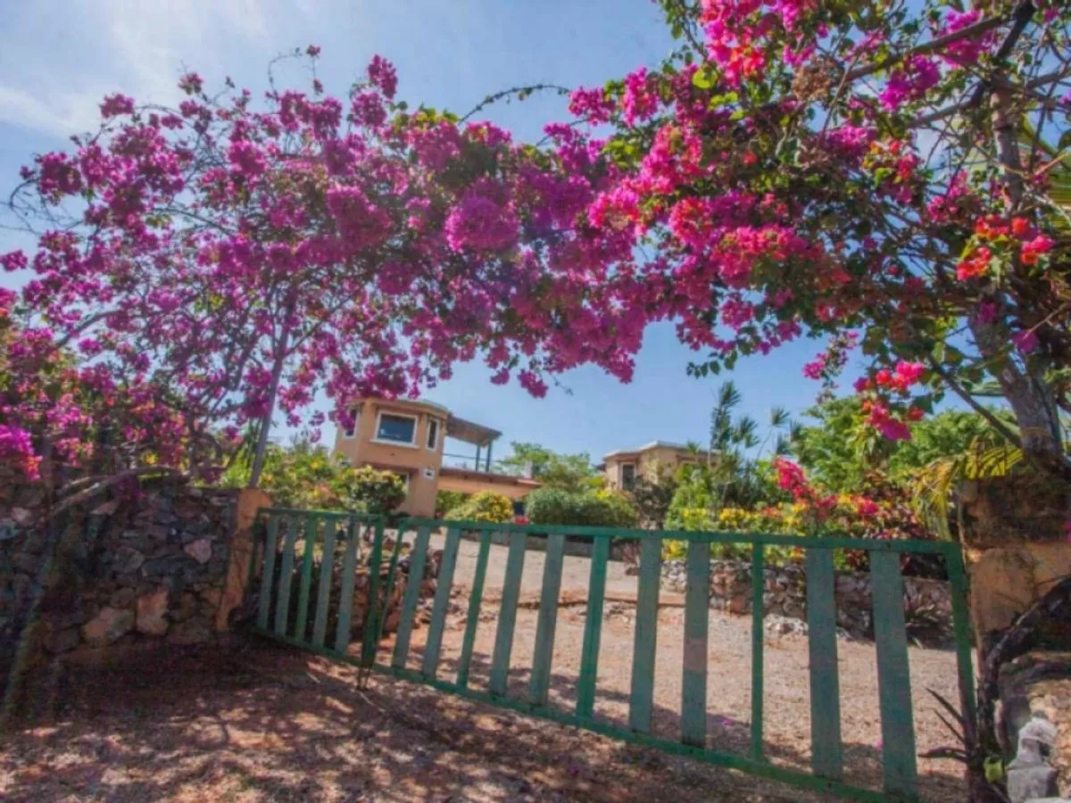 Casa en Samaná con Piscina y Terraza, foto 6