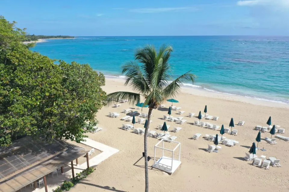 Projekt in Playa Dorada, Foto 3