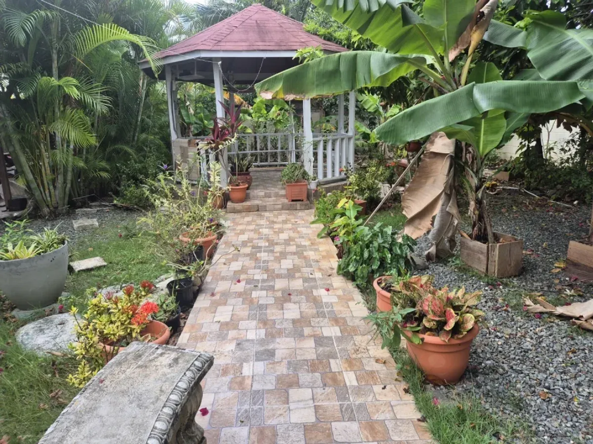 Haus in Punta Cana, Bávaro, Foto 12