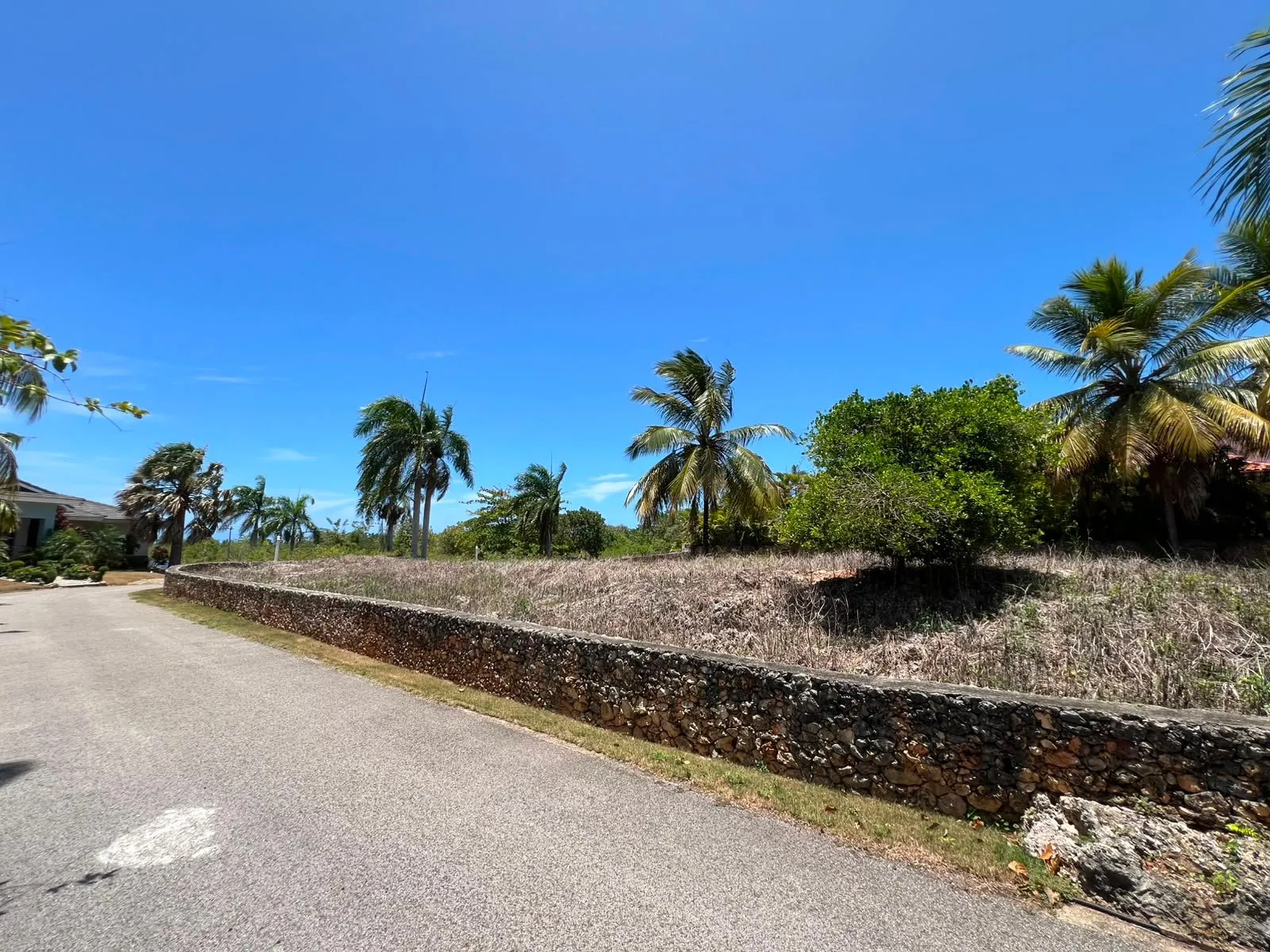 Land for sale Lomas Mironas, main photo