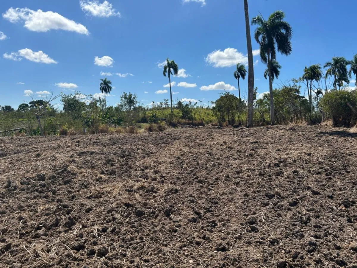 Terreno in vendita a Higüey, settore Santana, foto 3
