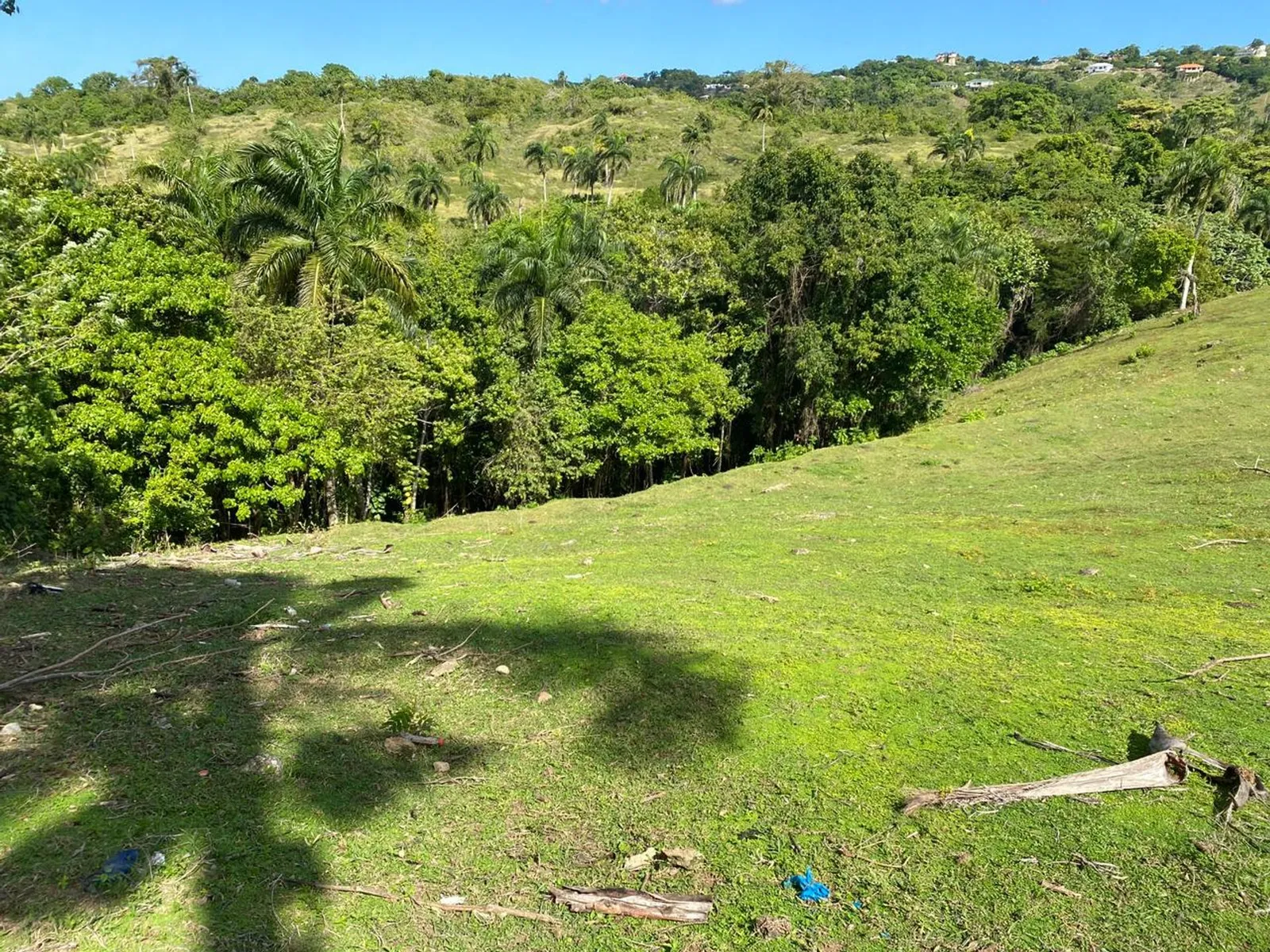 Terrain de 6 287 m² à Urb. Aurora | Rio San Juan, photo 2