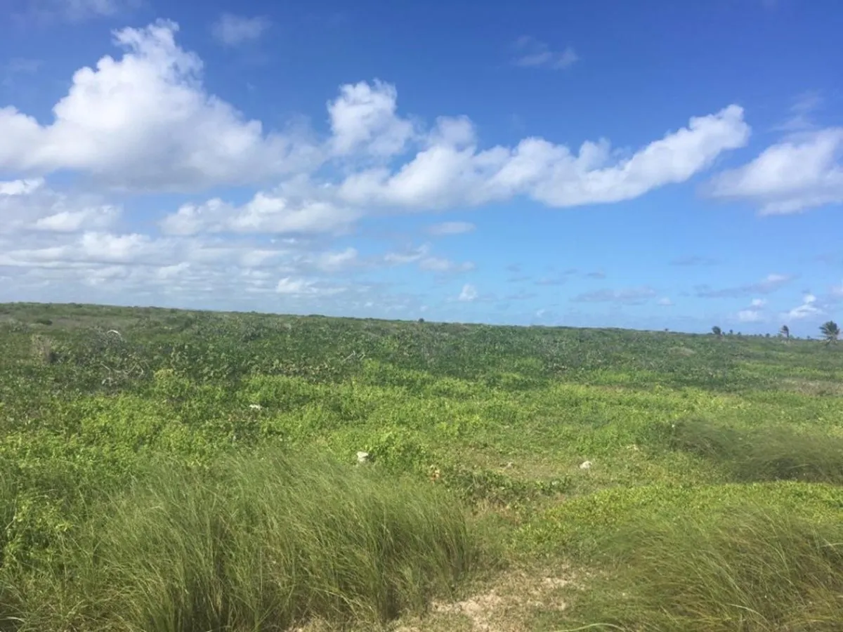 Terrain à Punta Cana, Higüey, photo 5
