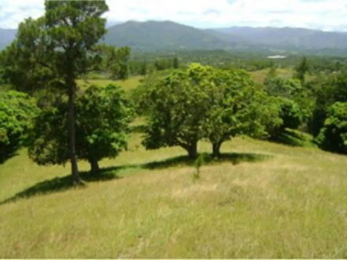 Terreno En Pedregal, San José De Las Matas, foto 2
