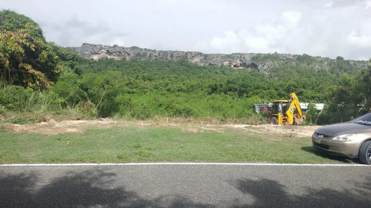 Grundstück in Punta Cana, La Lagunas, Foto 4