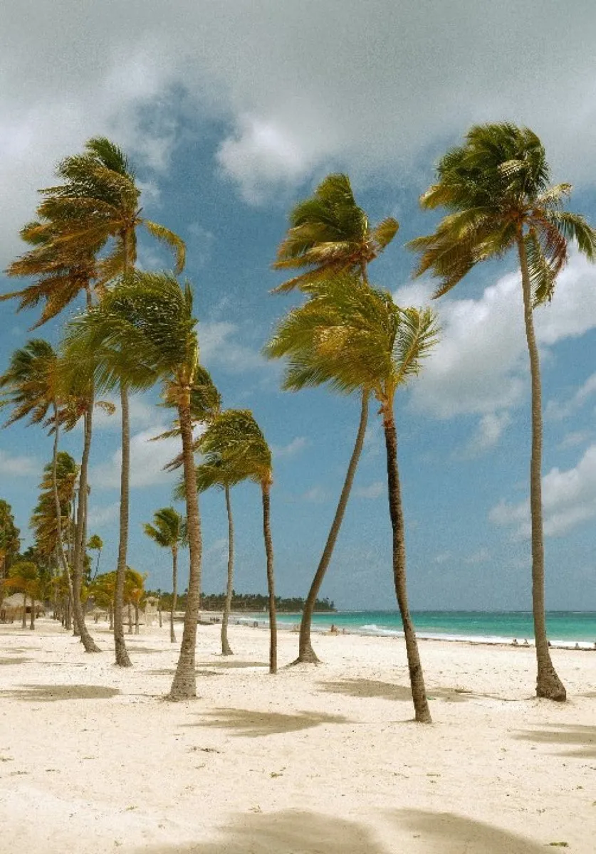 Maison à Punta Cana Village, Punta Cana, photo 4