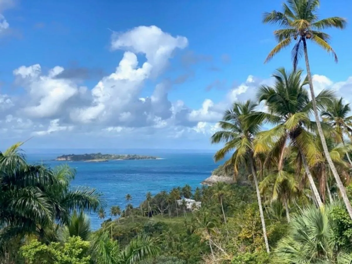 Grundstück in Samaná, Los Cacaos, Foto 6