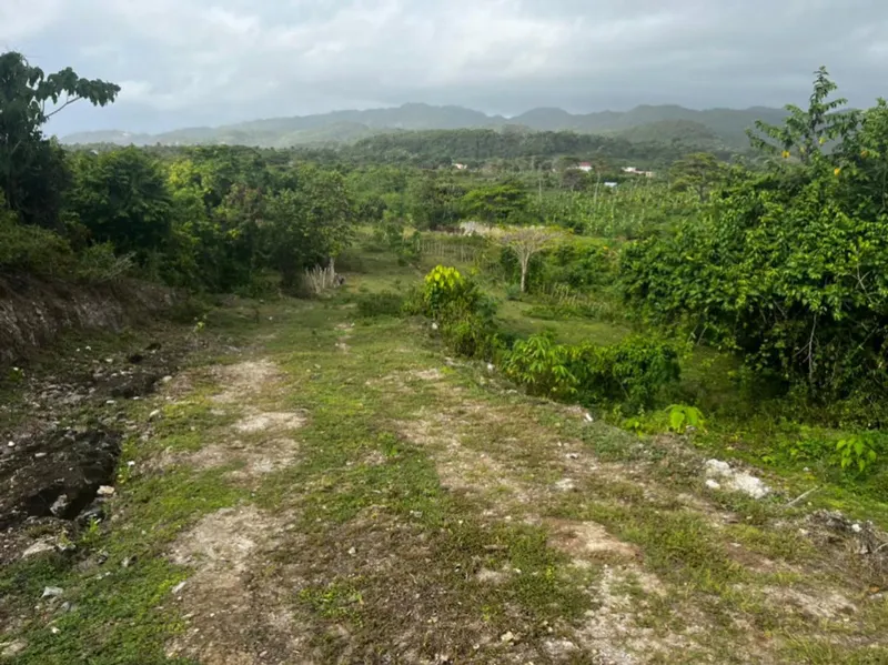 Grundstück in Samaná, Las Galeras, USD$ 3,904,850