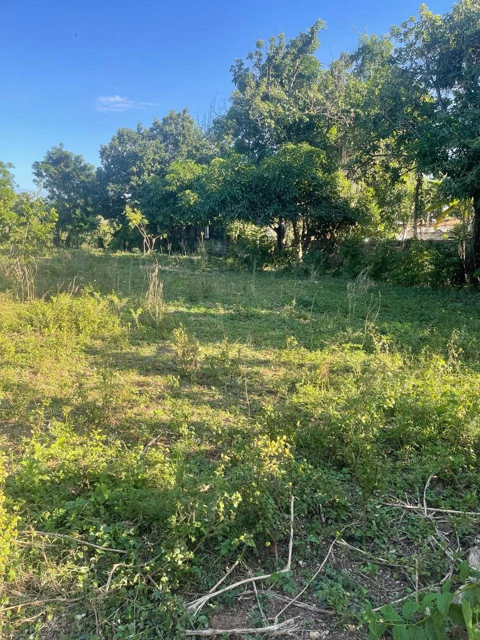 Hermoso terreno en Sosua – Carretera el choco, foto principal