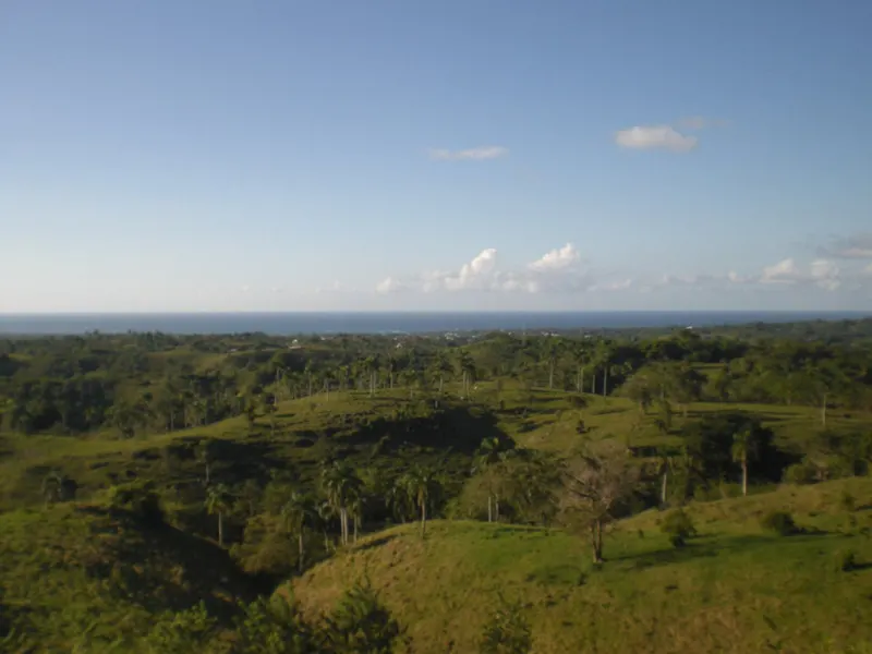 Terrain de 7 398 m² avec vue sur la mer, USD$ 420,000