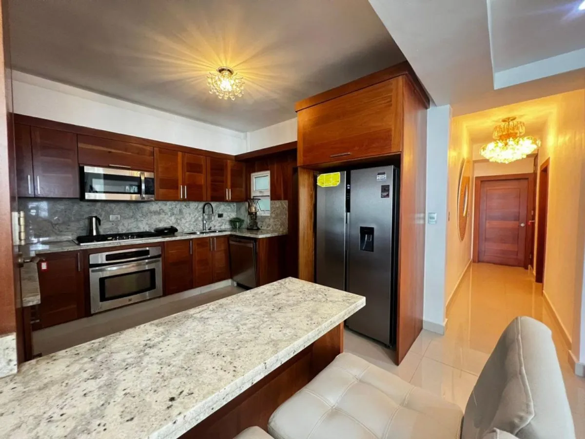 Luxury Penthouse in Santiago, La Esmeralda, photo 3