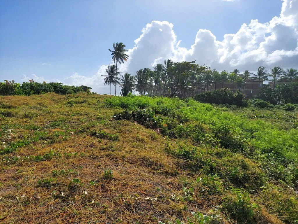 TERRAZZA IN ZONA ESCLUSIVA FRONTE MARE – CABARETE, foto 2