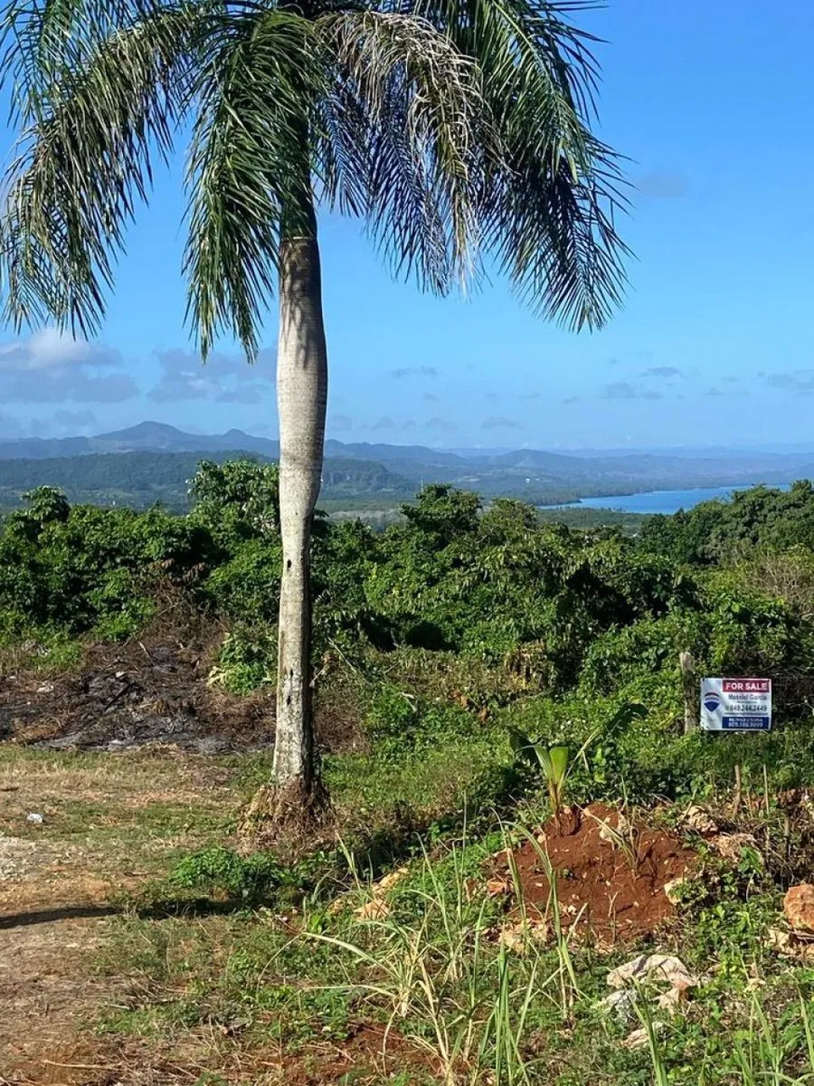 Land for Sale in Río San Juan, Santa Lucía, photo 5