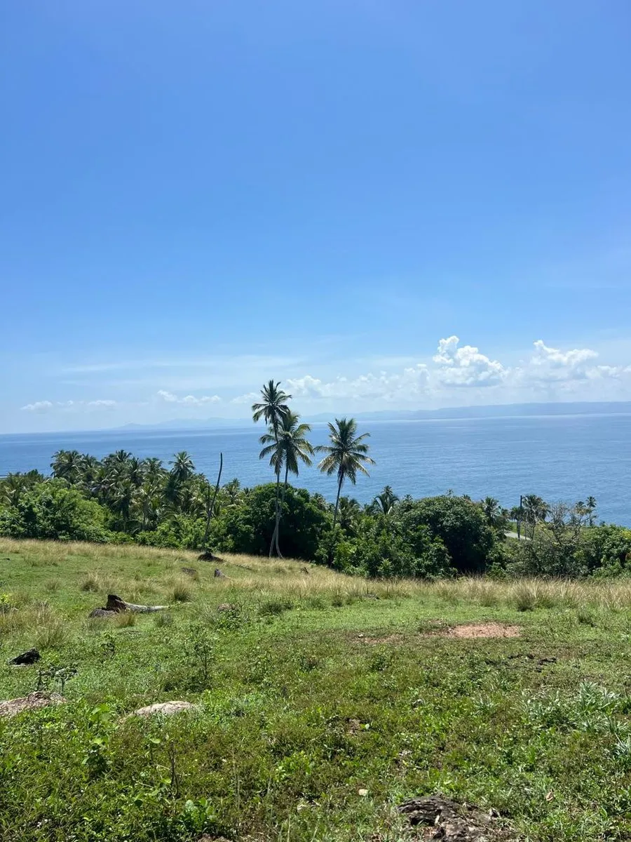 Terreno en Carretera Samaná - Las Galeras, foto 6