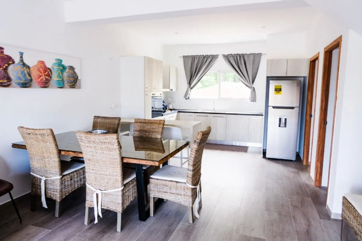 PENTHOUSE TERRENAS SAMANA, photo 3