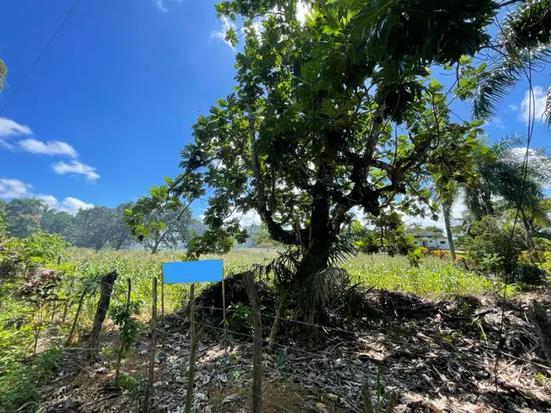Terrain à La Novilla, Río San Juan, USD$ 518,232