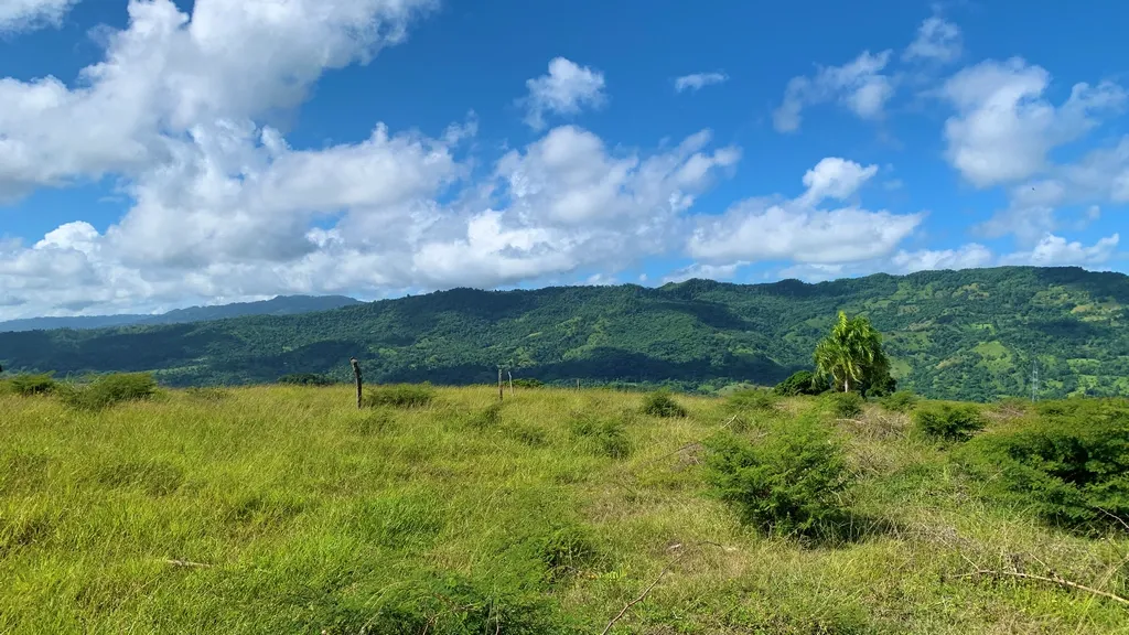 Terreni a El Cupey Puerto Plata, foto 5