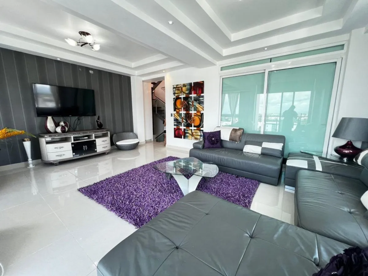 Luxury Penthouse in Santiago, La Esmeralda, photo 9