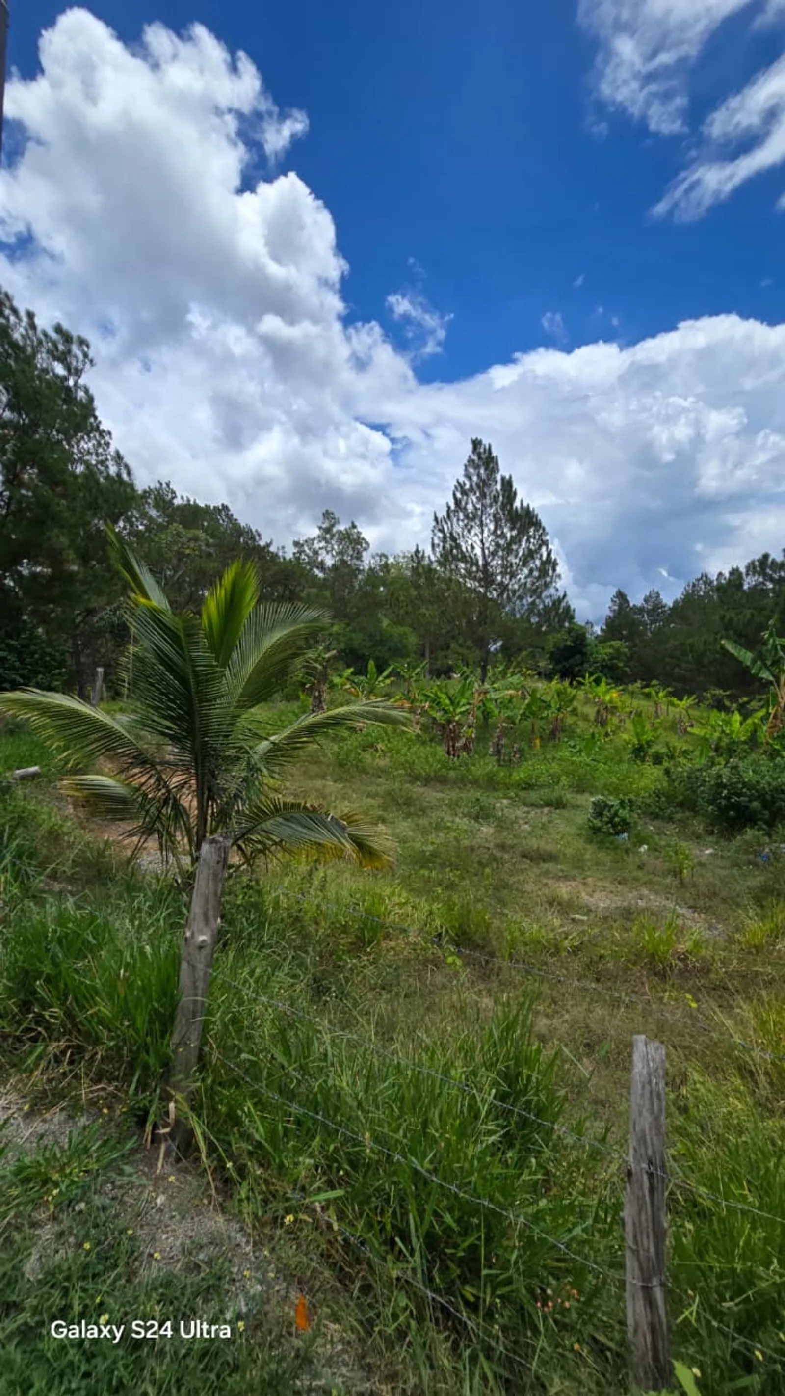 Terreno en Jarabacoa, foto 5