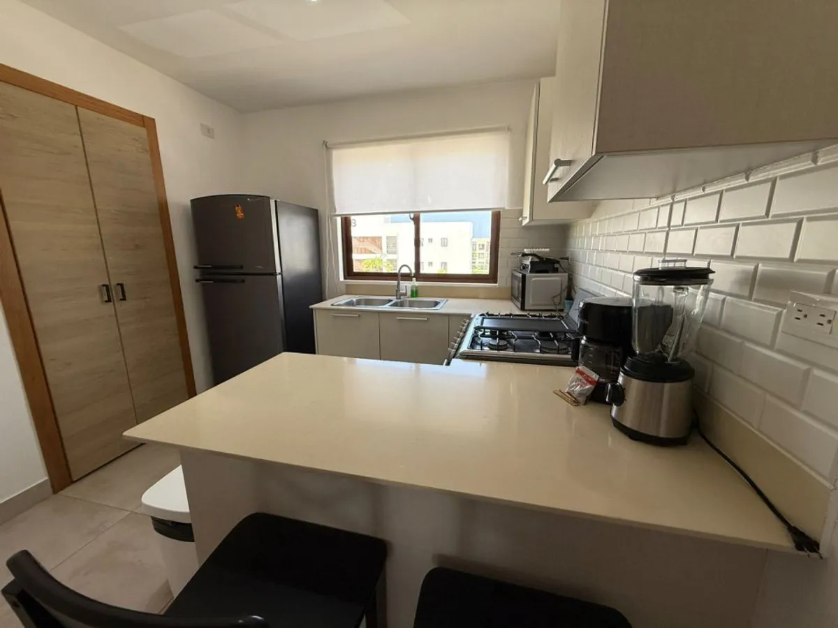 Furnished Apartment in Punta Cana, photo 9